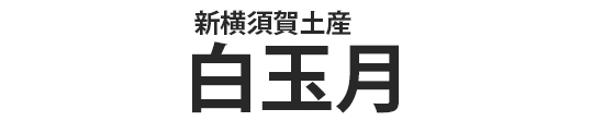 白玉月文字